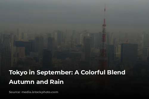 Tokyo in September: A Colorful Blend of Autumn and Rain