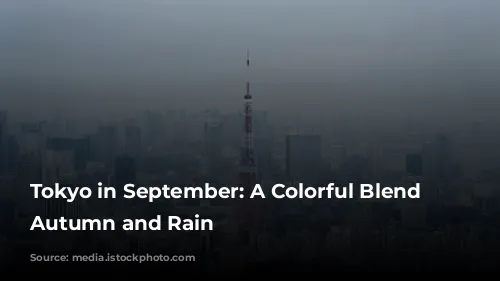 Tokyo in September: A Colorful Blend of Autumn and Rain