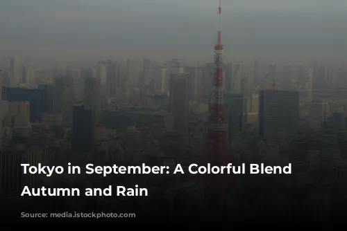 Tokyo in September: A Colorful Blend of Autumn and Rain