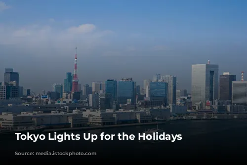 Tokyo Lights Up for the Holidays