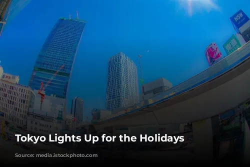 Tokyo Lights Up for the Holidays