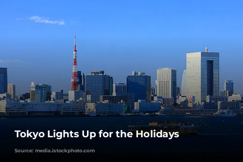 Tokyo Lights Up for the Holidays