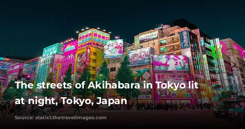 The streets of Akihabara in Tokyo lit up at night, Tokyo, Japan