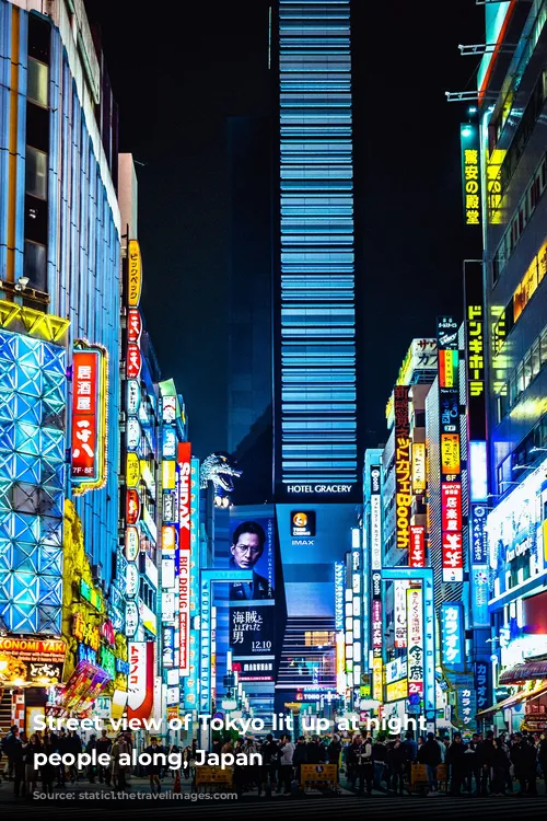 Street view of Tokyo lit up at night with people along, Japan 