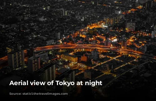 Aerial view of Tokyo at night 