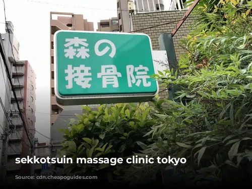 sekkotsuin massage clinic tokyo