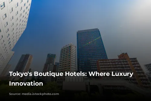 Tokyo's Boutique Hotels: Where Luxury Meets Innovation