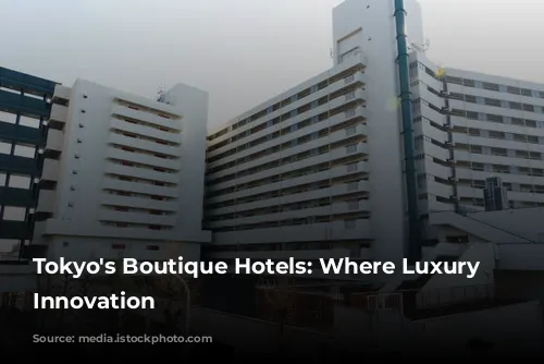 Tokyo's Boutique Hotels: Where Luxury Meets Innovation