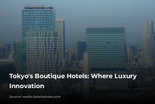 Tokyo's Boutique Hotels: Where Luxury Meets Innovation