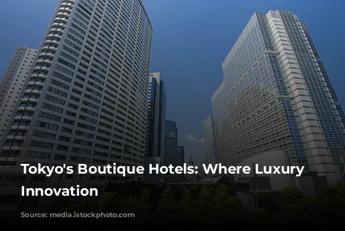 Tokyo's Boutique Hotels: Where Luxury Meets Innovation