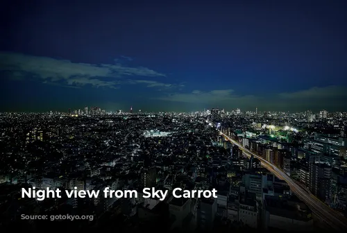 Night view from Sky Carrot