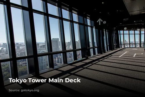 Tokyo Tower Main Deck