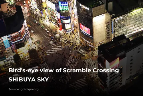 Bird's-eye view of Scramble Crossing from SHIBUYA SKY