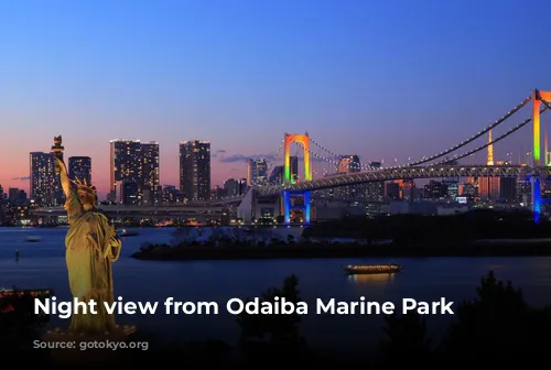 Night view from Odaiba Marine Park