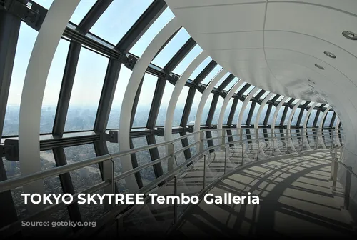 TOKYO SKYTREE Tembo Galleria