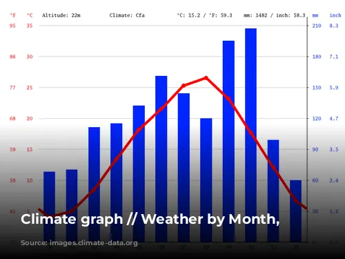 Climate graph // Weather by Month, Tokyo