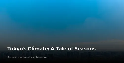 Tokyo's Climate: A Tale of Seasons