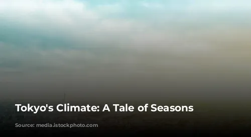 Tokyo's Climate: A Tale of Seasons