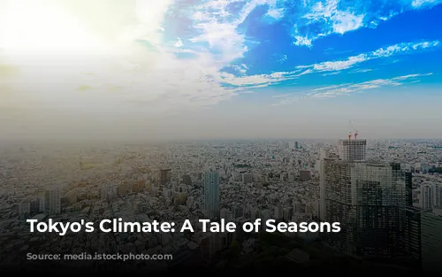 Tokyo's Climate: A Tale of Seasons