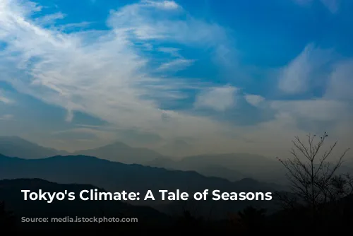 Tokyo's Climate: A Tale of Seasons