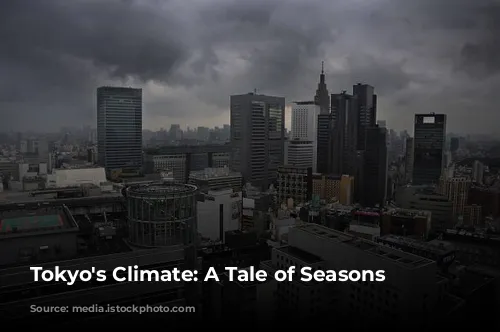 Tokyo's Climate: A Tale of Seasons