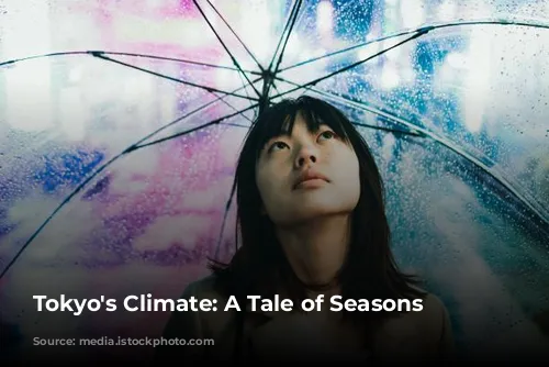 Tokyo's Climate: A Tale of Seasons