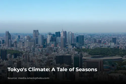 Tokyo's Climate: A Tale of Seasons