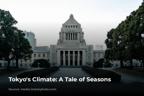 Tokyo's Climate: A Tale of Seasons