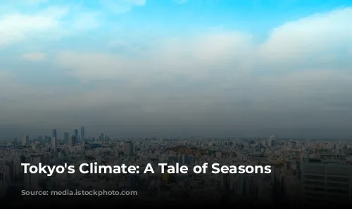 Tokyo's Climate: A Tale of Seasons