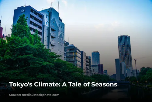 Tokyo's Climate: A Tale of Seasons