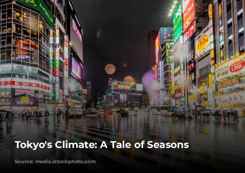 Tokyo's Climate: A Tale of Seasons