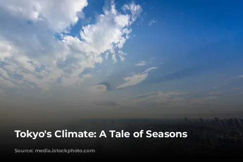 Tokyo's Climate: A Tale of Seasons