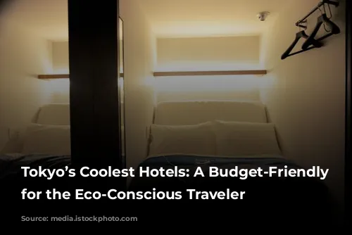 Tokyo’s Coolest Hotels: A Budget-Friendly Guide for the Eco-Conscious Traveler