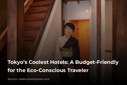 Tokyo’s Coolest Hotels: A Budget-Friendly Guide for the Eco-Conscious Traveler