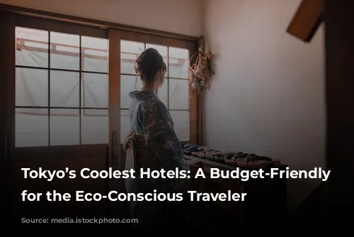 Tokyo’s Coolest Hotels: A Budget-Friendly Guide for the Eco-Conscious Traveler