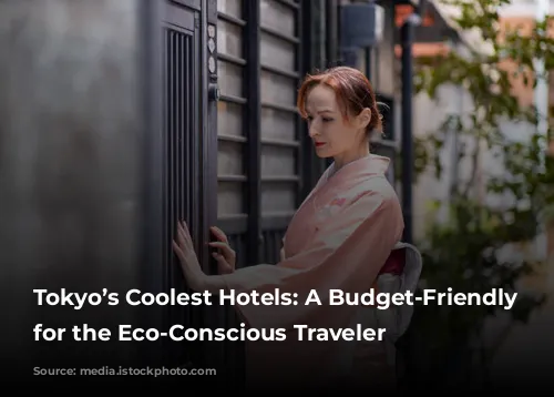 Tokyo’s Coolest Hotels: A Budget-Friendly Guide for the Eco-Conscious Traveler