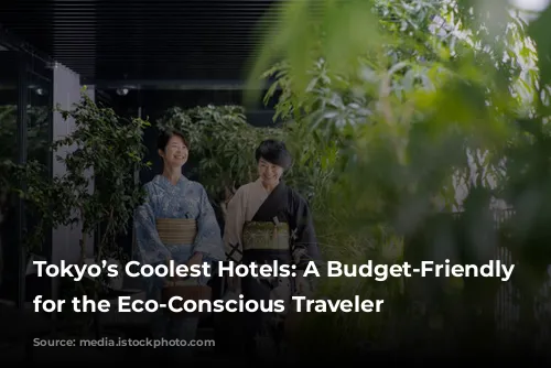 Tokyo’s Coolest Hotels: A Budget-Friendly Guide for the Eco-Conscious Traveler