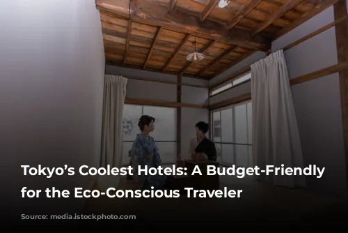 Tokyo’s Coolest Hotels: A Budget-Friendly Guide for the Eco-Conscious Traveler