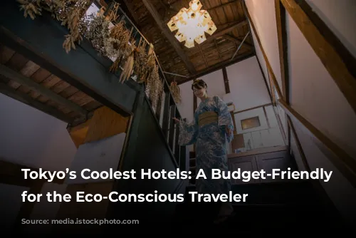 Tokyo’s Coolest Hotels: A Budget-Friendly Guide for the Eco-Conscious Traveler