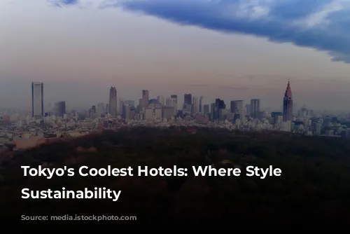 Tokyo's Coolest Hotels: Where Style Meets Sustainability