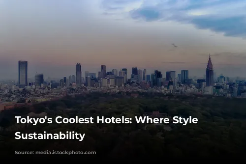 Tokyo's Coolest Hotels: Where Style Meets Sustainability