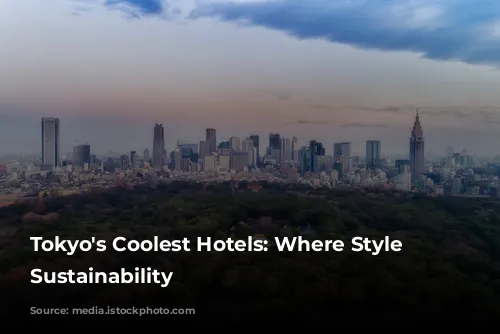 Tokyo's Coolest Hotels: Where Style Meets Sustainability