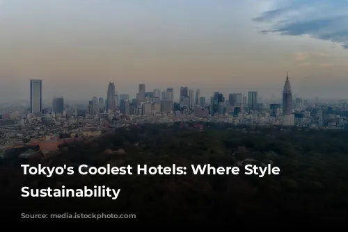 Tokyo's Coolest Hotels: Where Style Meets Sustainability