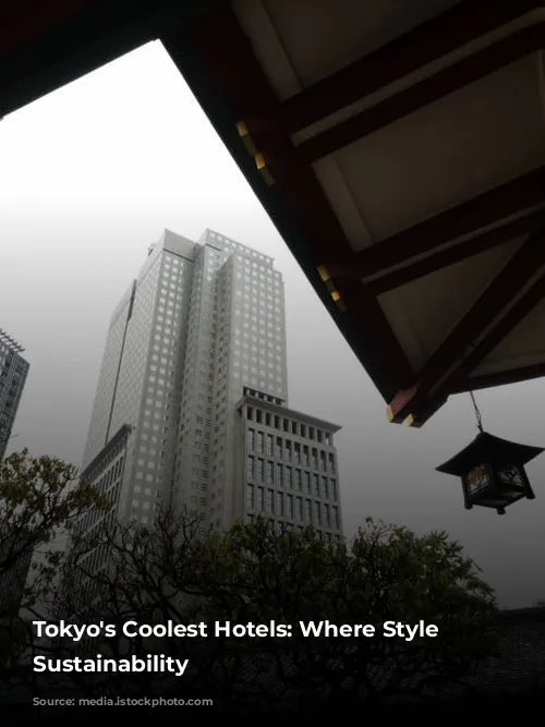 Tokyo's Coolest Hotels: Where Style Meets Sustainability