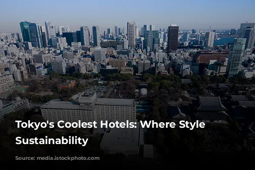 Tokyo's Coolest Hotels: Where Style Meets Sustainability