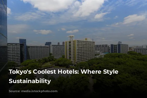 Tokyo's Coolest Hotels: Where Style Meets Sustainability