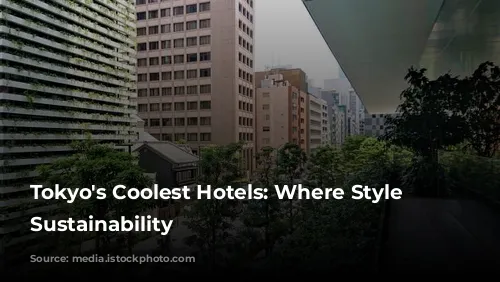 Tokyo's Coolest Hotels: Where Style Meets Sustainability