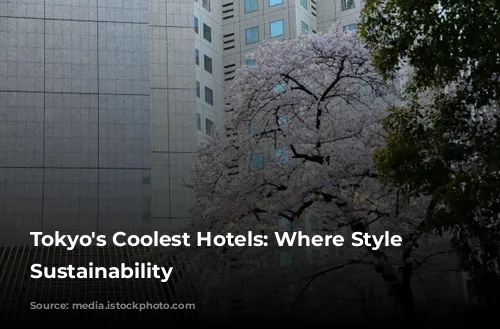 Tokyo's Coolest Hotels: Where Style Meets Sustainability