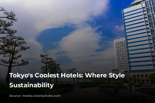 Tokyo's Coolest Hotels: Where Style Meets Sustainability