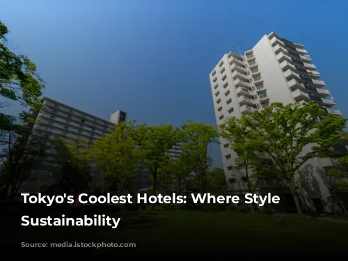 Tokyo's Coolest Hotels: Where Style Meets Sustainability